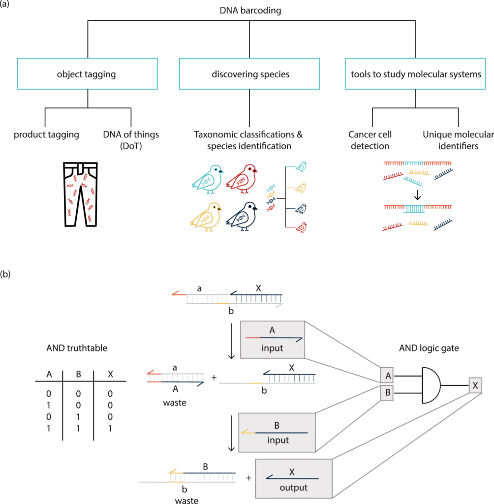 Integrating DNA synthesis and sequencing into digital information processes.