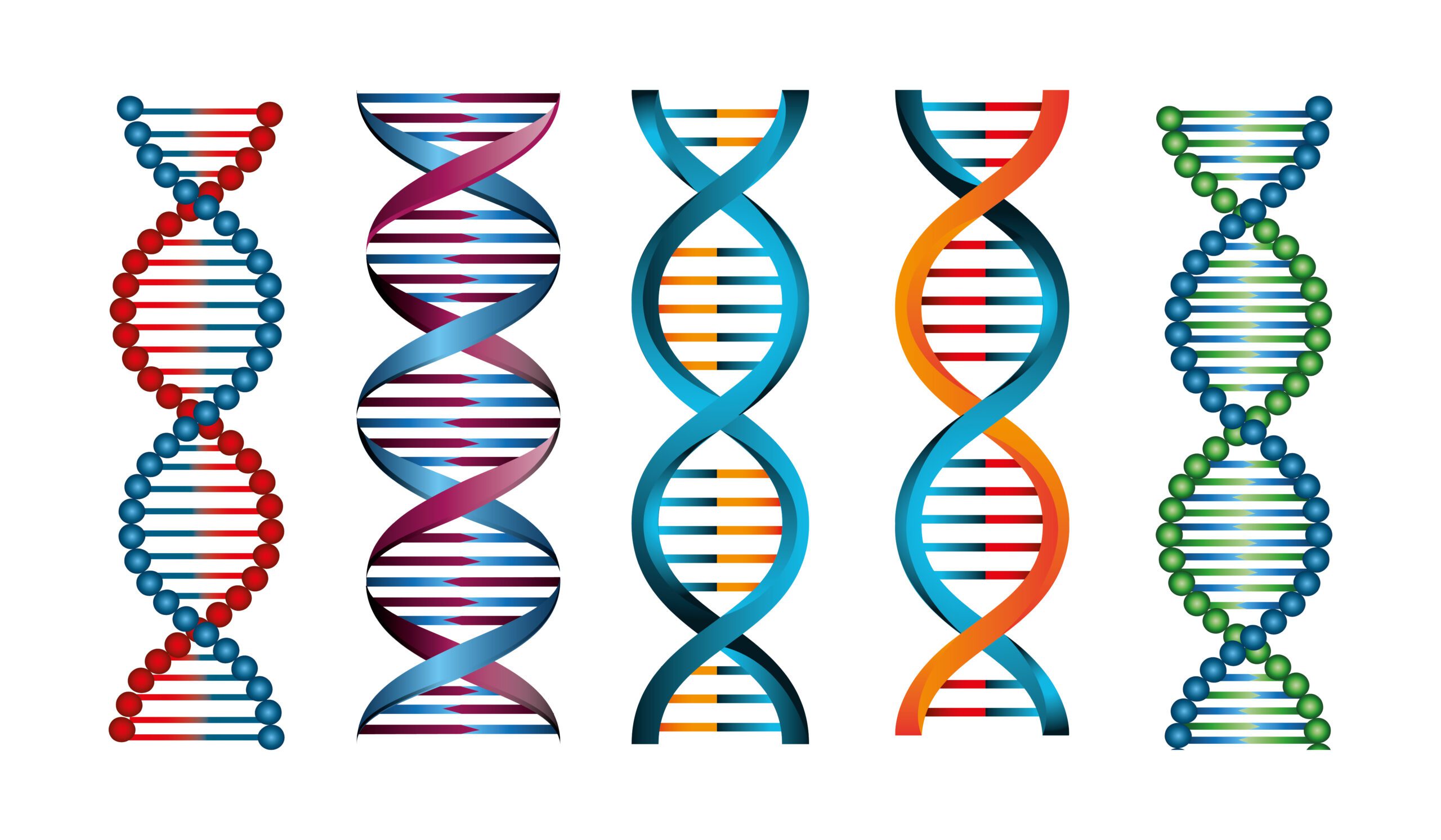 The Earth BioGenome Project