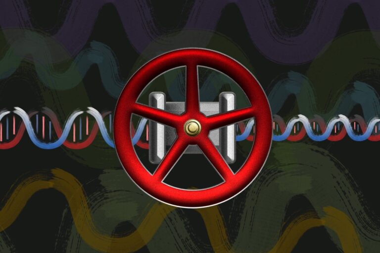 DNA valve controlling molecular processes along DNA