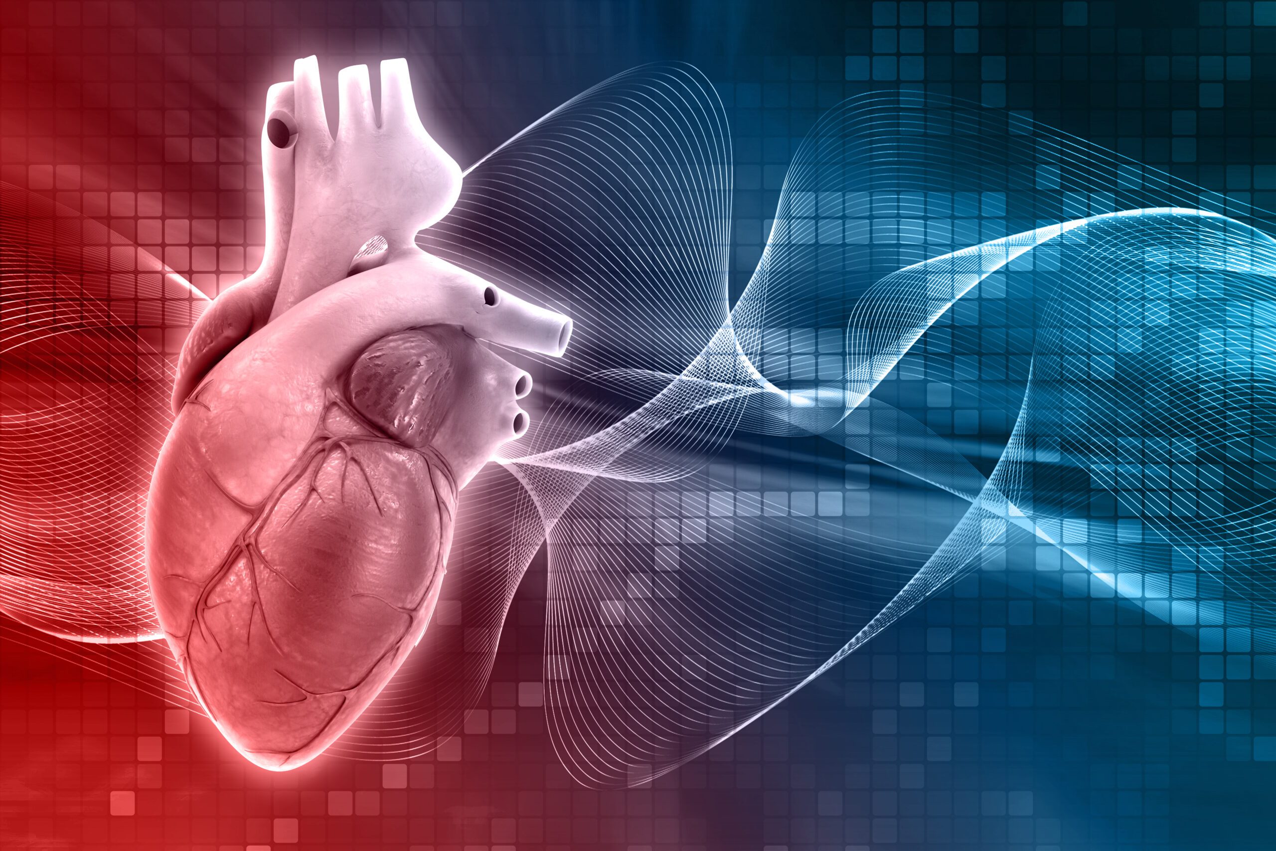 3D medical background with heart