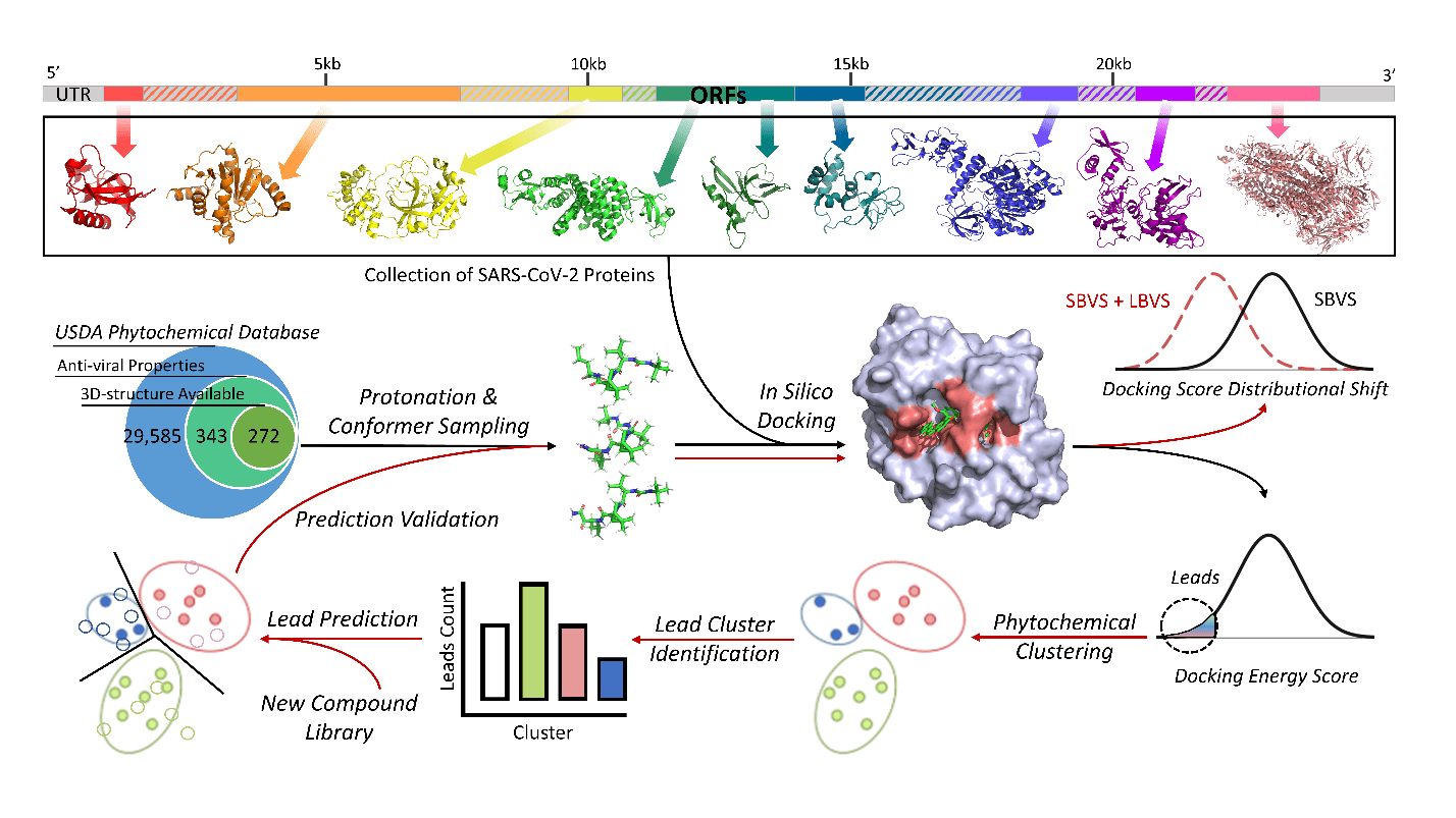 COVID-19 Phytochemical Drug Discovery