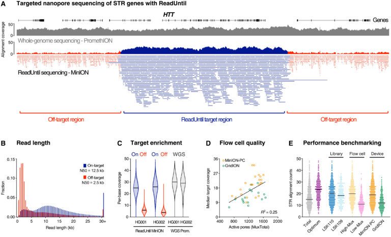 Single Test for Over 50 Genetic Diseases