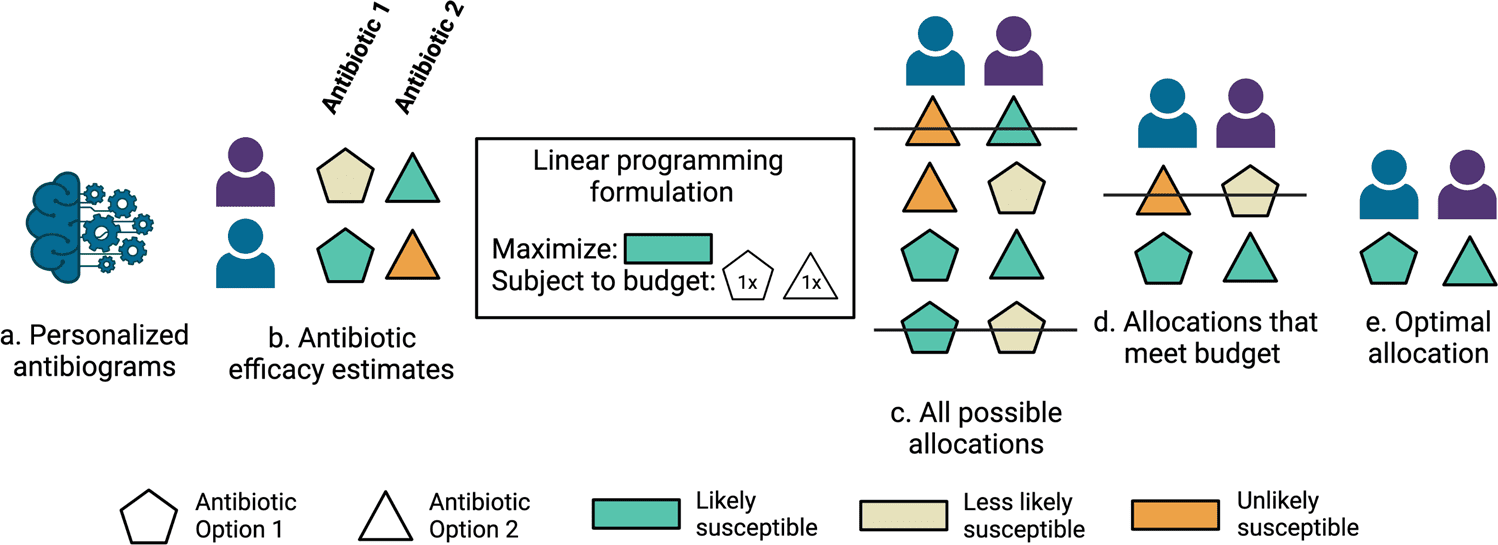 Optimizing-antibiotic-selections-with-linear-programming
