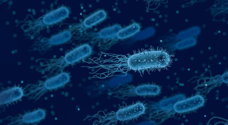 Antibiotics Gut Microbes