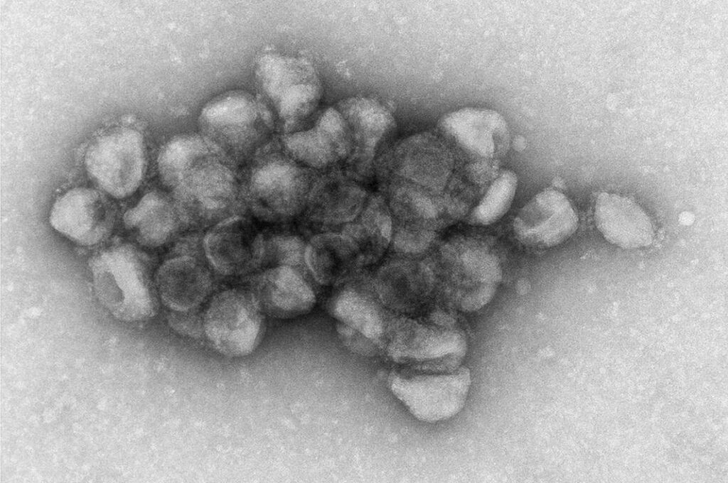 SARS-CoV-2 Delta Variant's Unique Binding Leads to High Transmissibility