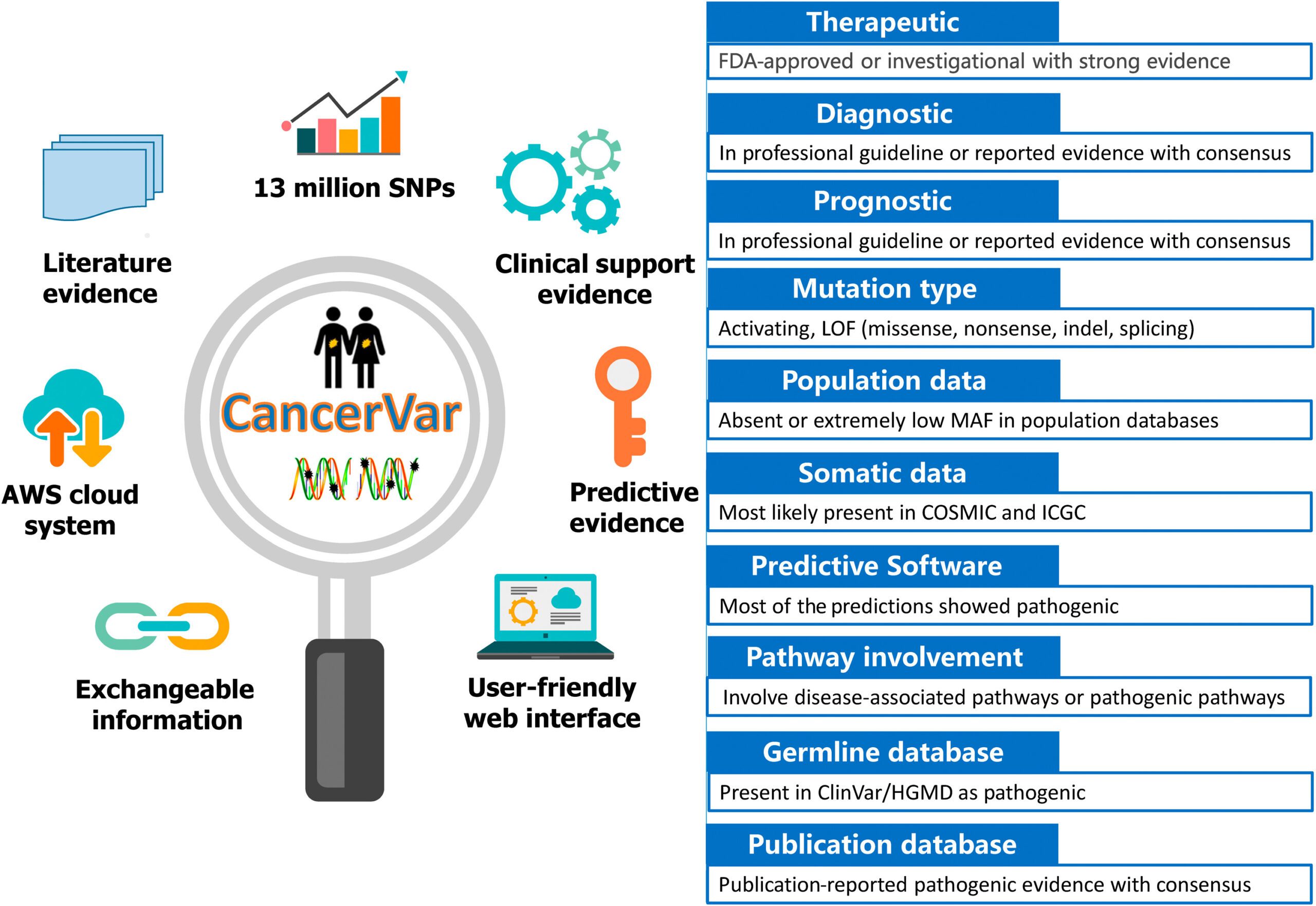 CancerVar - A New Machine Learning Empowered Tool to Interpret Somatic Variants in Cancer