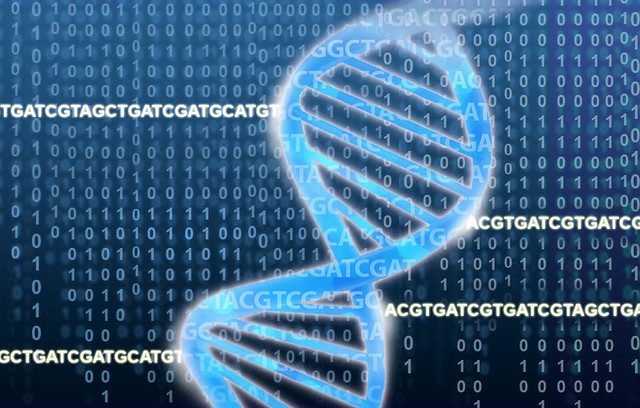Monkeypox Virus Genome Sequence