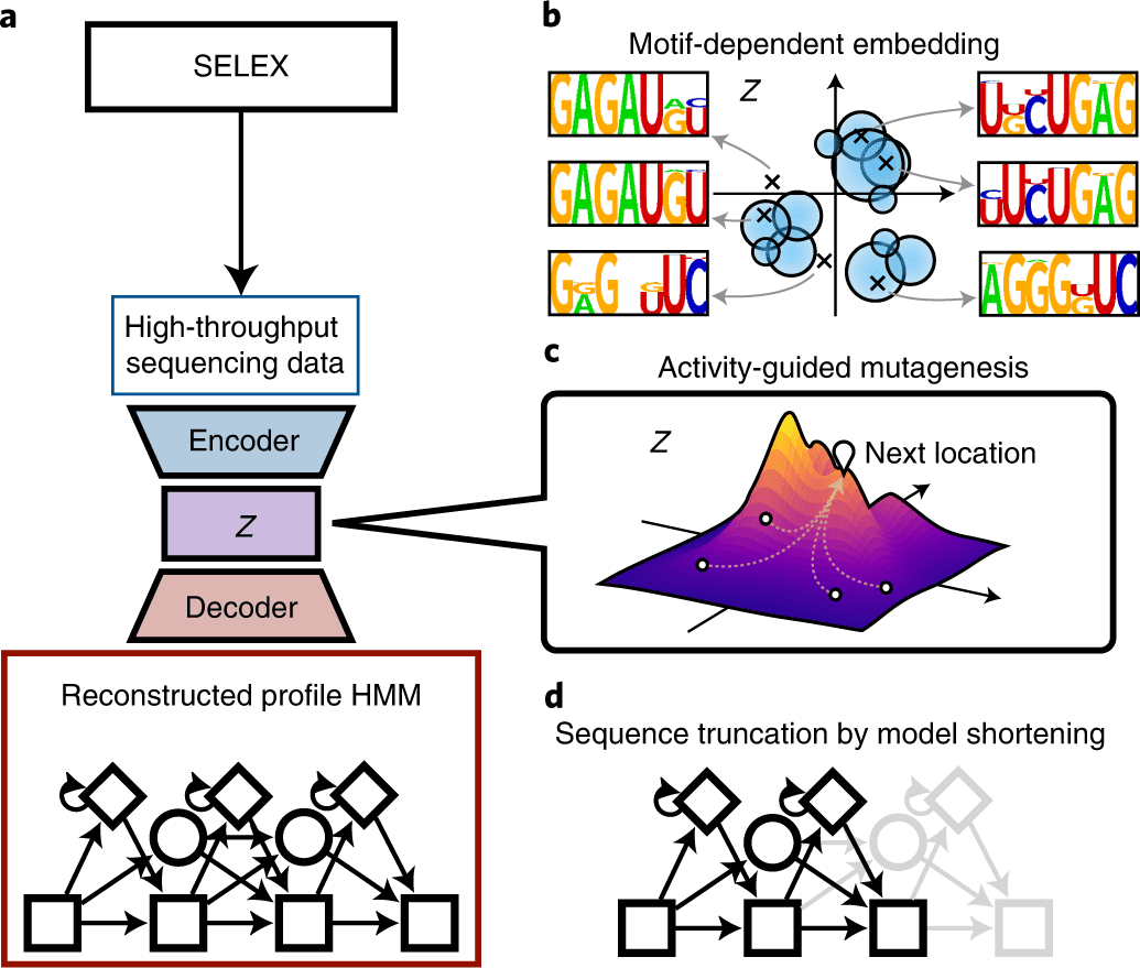 RaptGen for Aptamer Generation