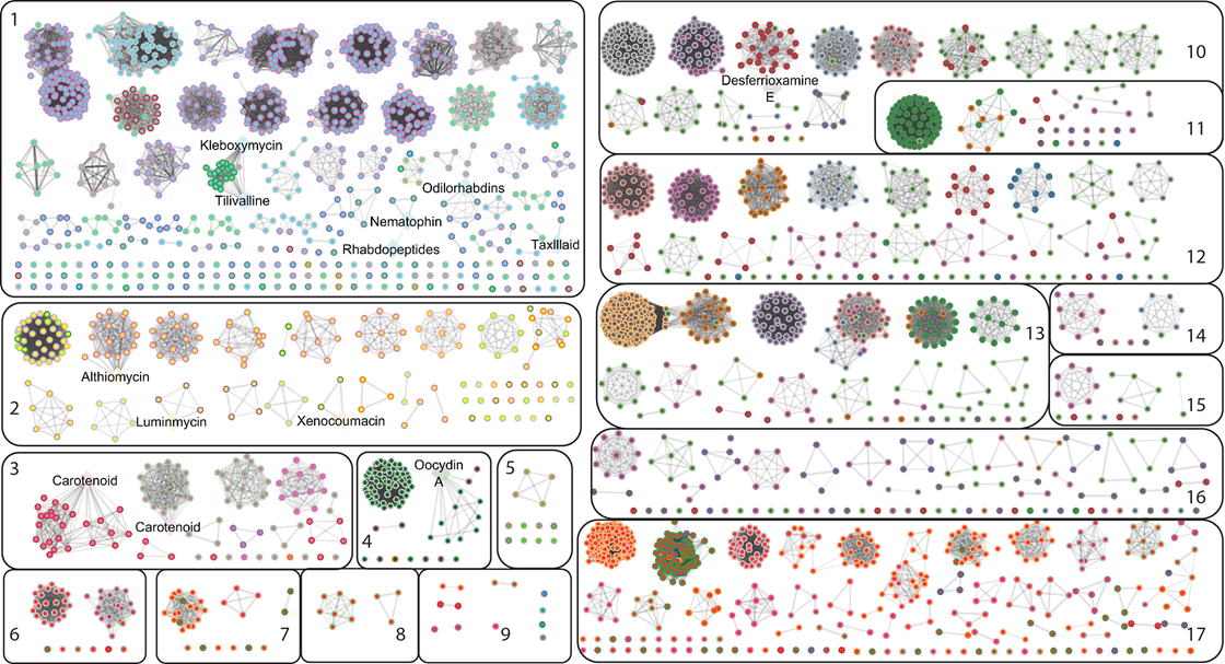 Colon Cancer, biosynthetic gene clusters, metabolite, genome mining