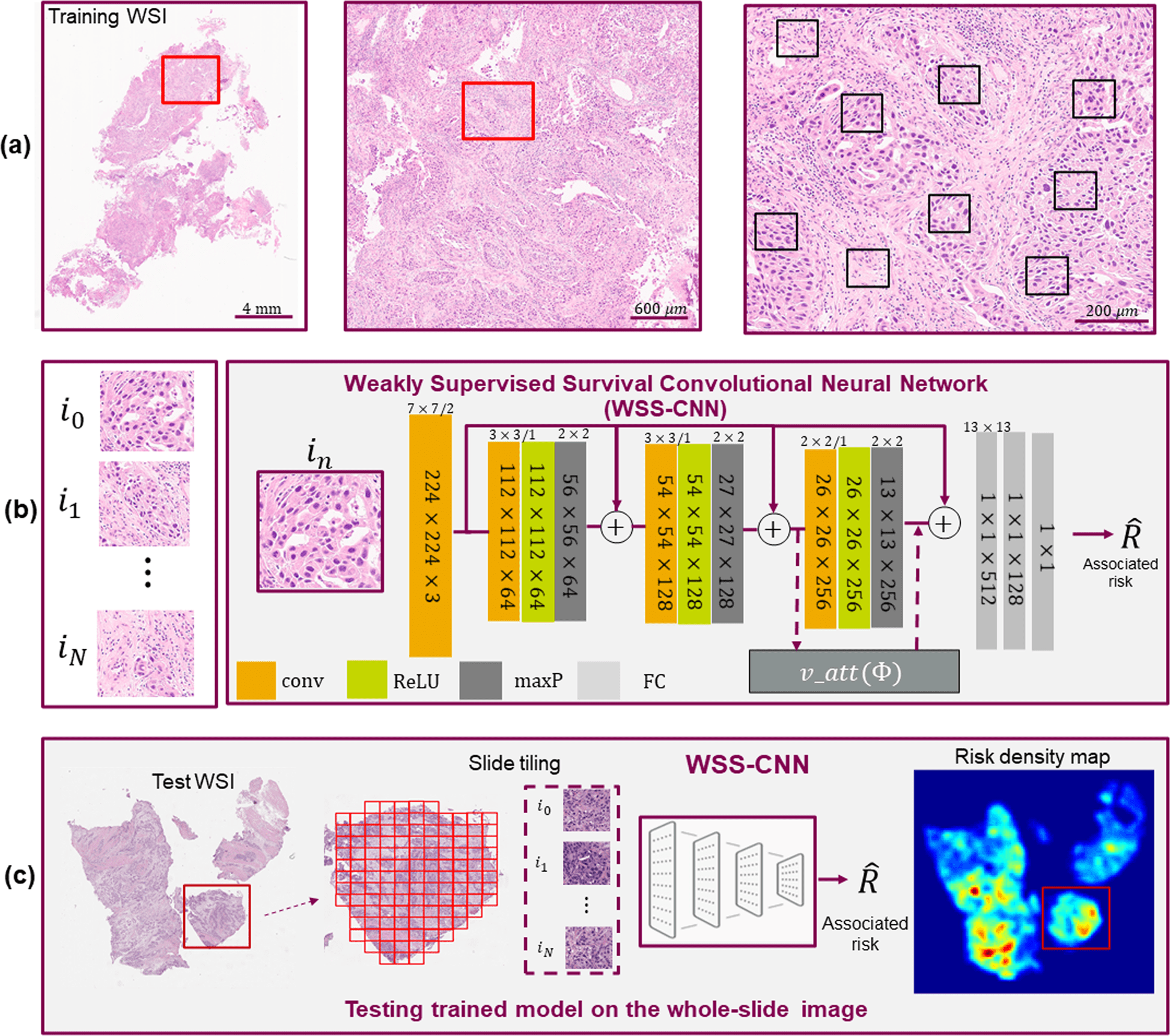 Disease Prognosis Using Deep Learning And Images