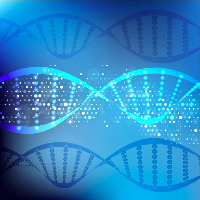 Repetitive DNA