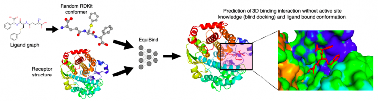 EquiBind for molecular docking and drug discovery