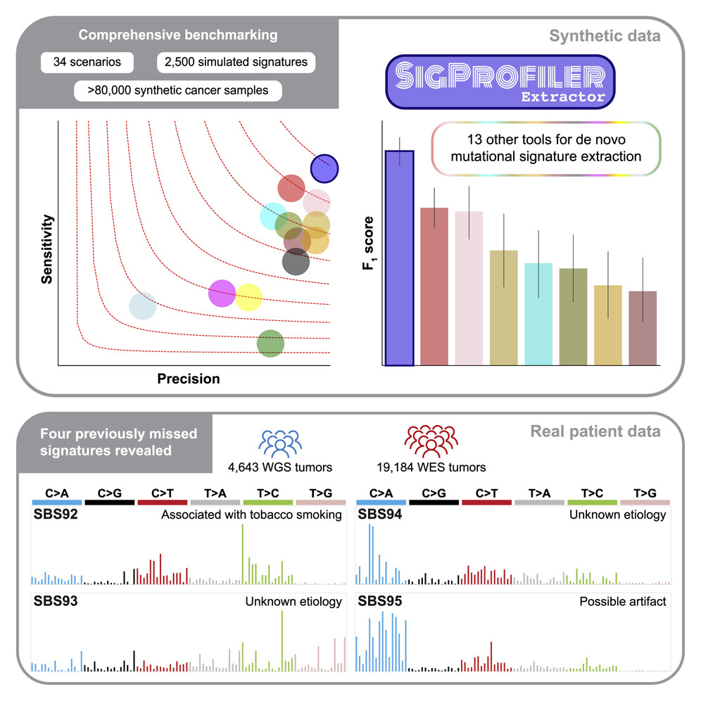 A machine learning tool - SigProfilerExtractor has identified a link between bladder cancer and tobacco smoking.