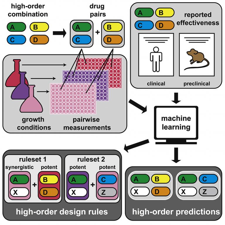 Artificial Intelligence based drug combinations for tuberculosis treatment