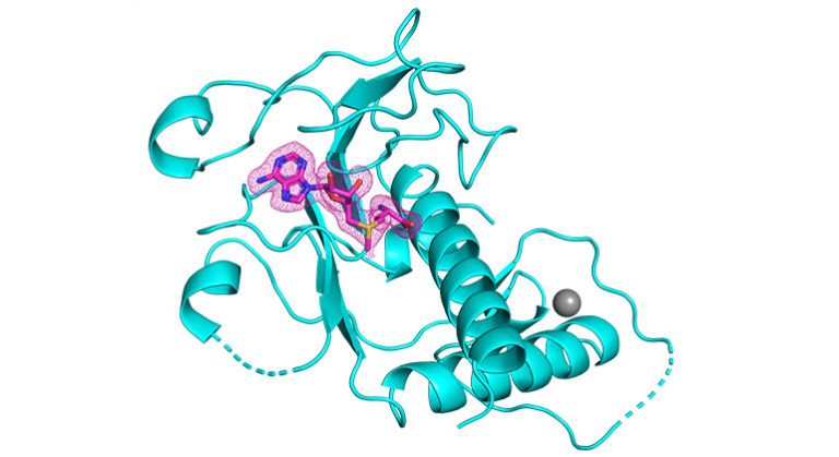 high-resolution structures of SARS-CoV-2 nsp14 N7-MTase