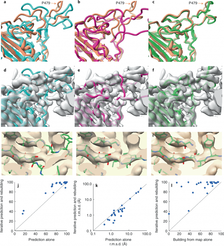 AlphaFold and experimental density maps to rebuild protein models improves structure prediction accuracy.