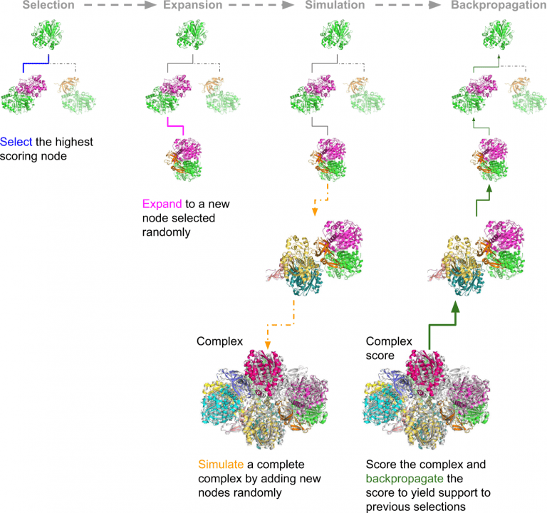 Protein Complex Structure Prediction Using AlphaFold and Monte Carlo Tree Search