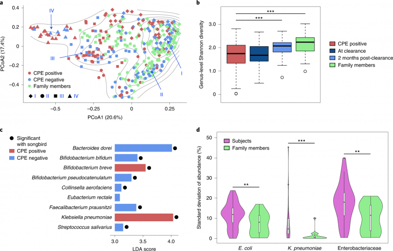 gut microbiome associated with Carbapenemase-producing Enterobacteriaceae infections.