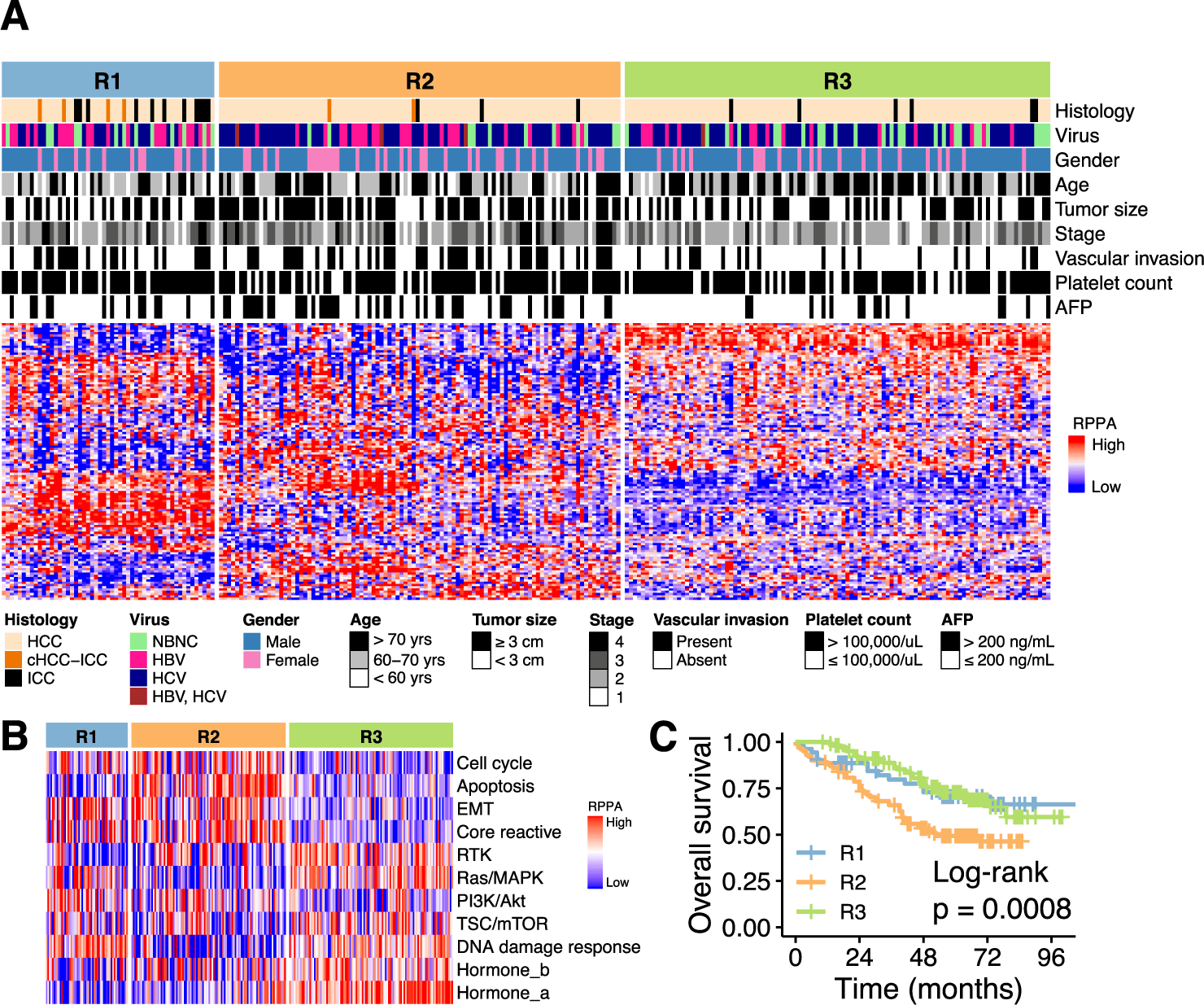 Proteo-genomic Profiling of Virus-associated Liver Cancer