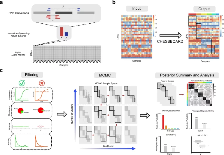 CHESSBOARD: A Bayesian Approach to Identifying Cancer Subtypes through Unsupervised Detection of RNA Splicing
