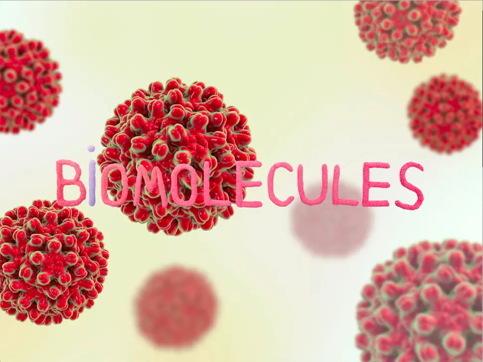 What are biomolecules?