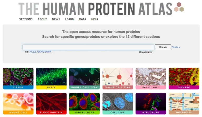The Human Protein Atlas: Database Maps Proteins that could Predict Cancer Types