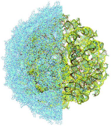 Understanding of Viruses with Complete Reconstruction