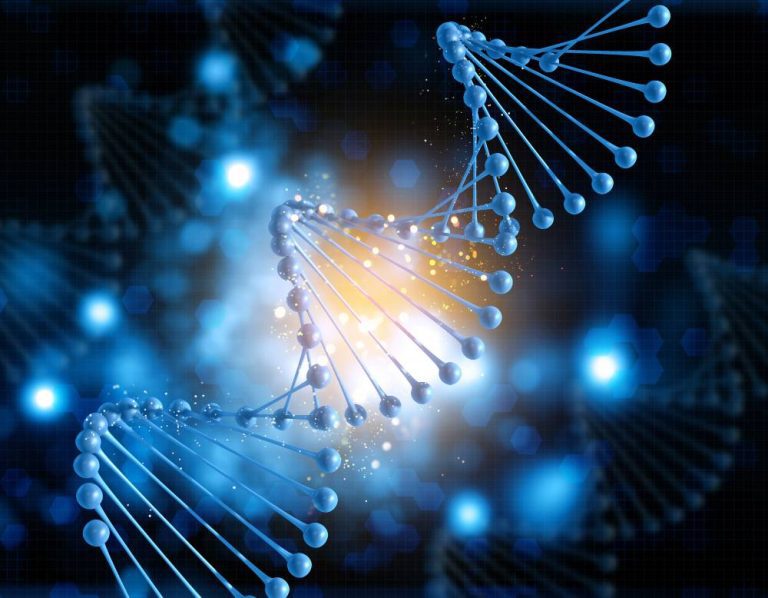 Drug-Targeted Genome Interactions with a New DNA Sequencing Method Chem-map