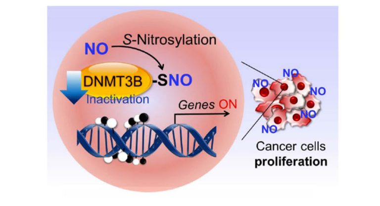 From healthy cell to cancerous growth: the alarming role of poisoned proteins in tumor formation