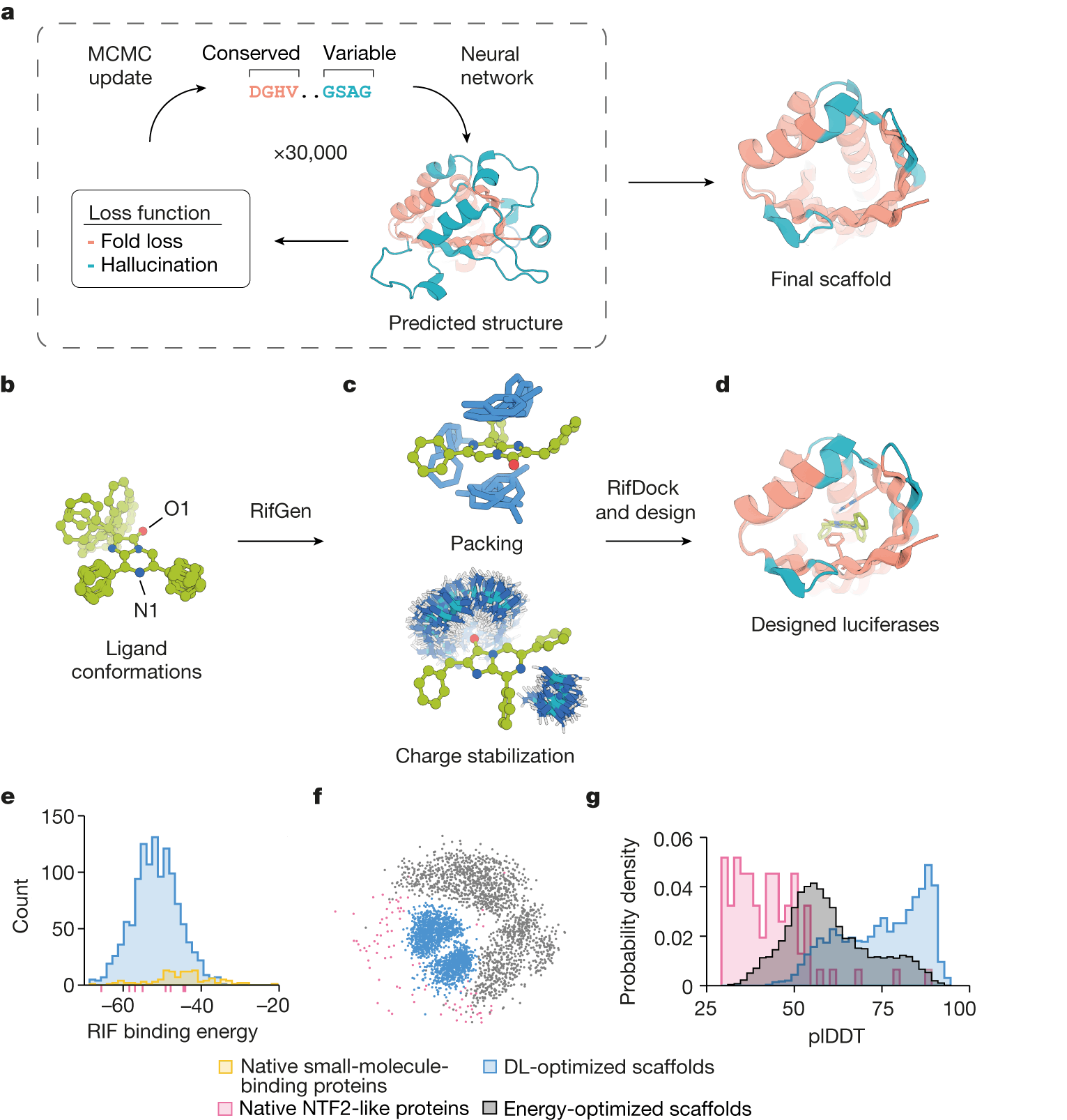 Designing High-Activity Luciferases with Deep Learning