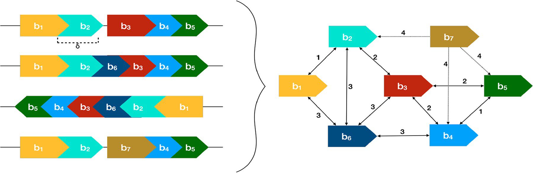 Whole-Genome Population Genomics Made Easy with "PRAWNS": A Comprehensive Tool for Multiple-genome Analysis