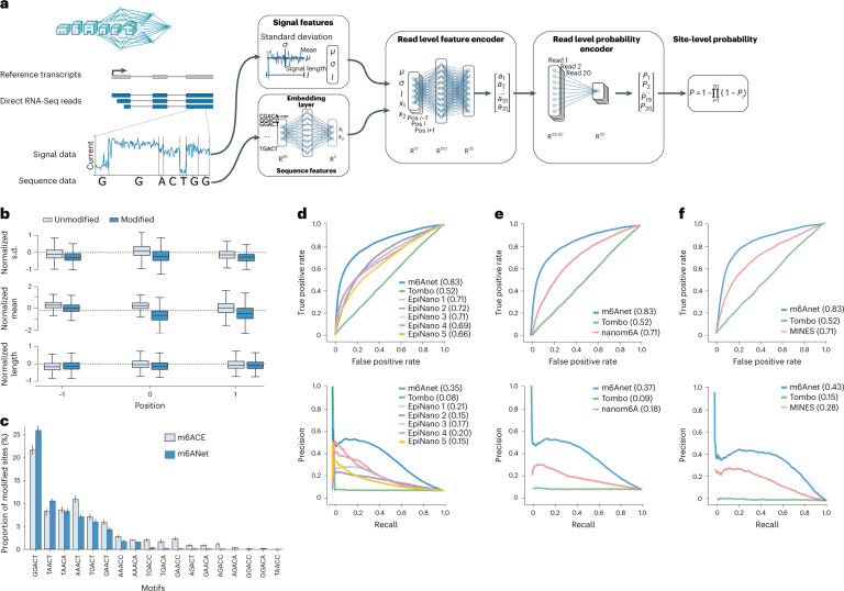 m6Anet: A Multiple Instance Learning based Neural Network Model for RNA Modification Prediction