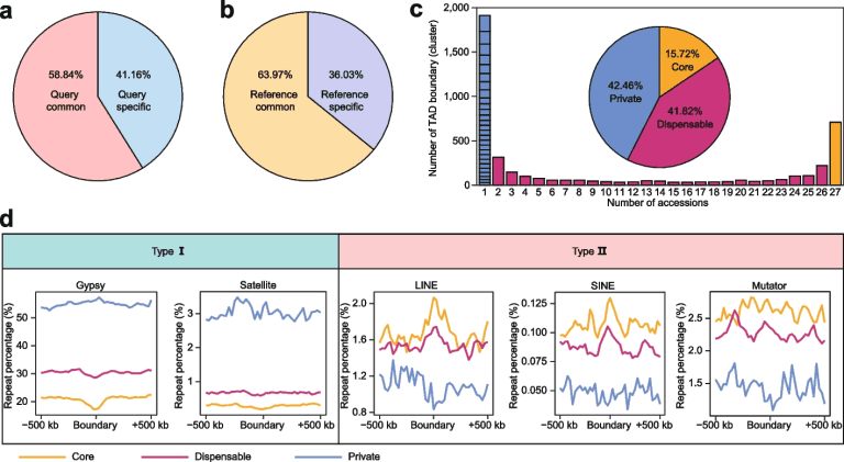 Scientists Created a Pan-3D Genome of Soybean to Decipher Structural and Functional Differentiation