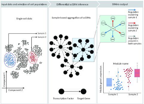 Meet DiNiro: An Interactive Platform for Single-cell RNAseq-based Gene Regulatory Network Analysis
