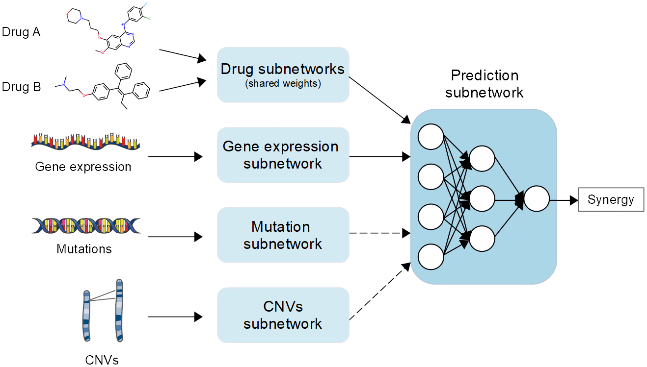 Evaluating the Efficacy of Deep Learning Algorithms for Predicting Drug Synergy in Cancer Treatment