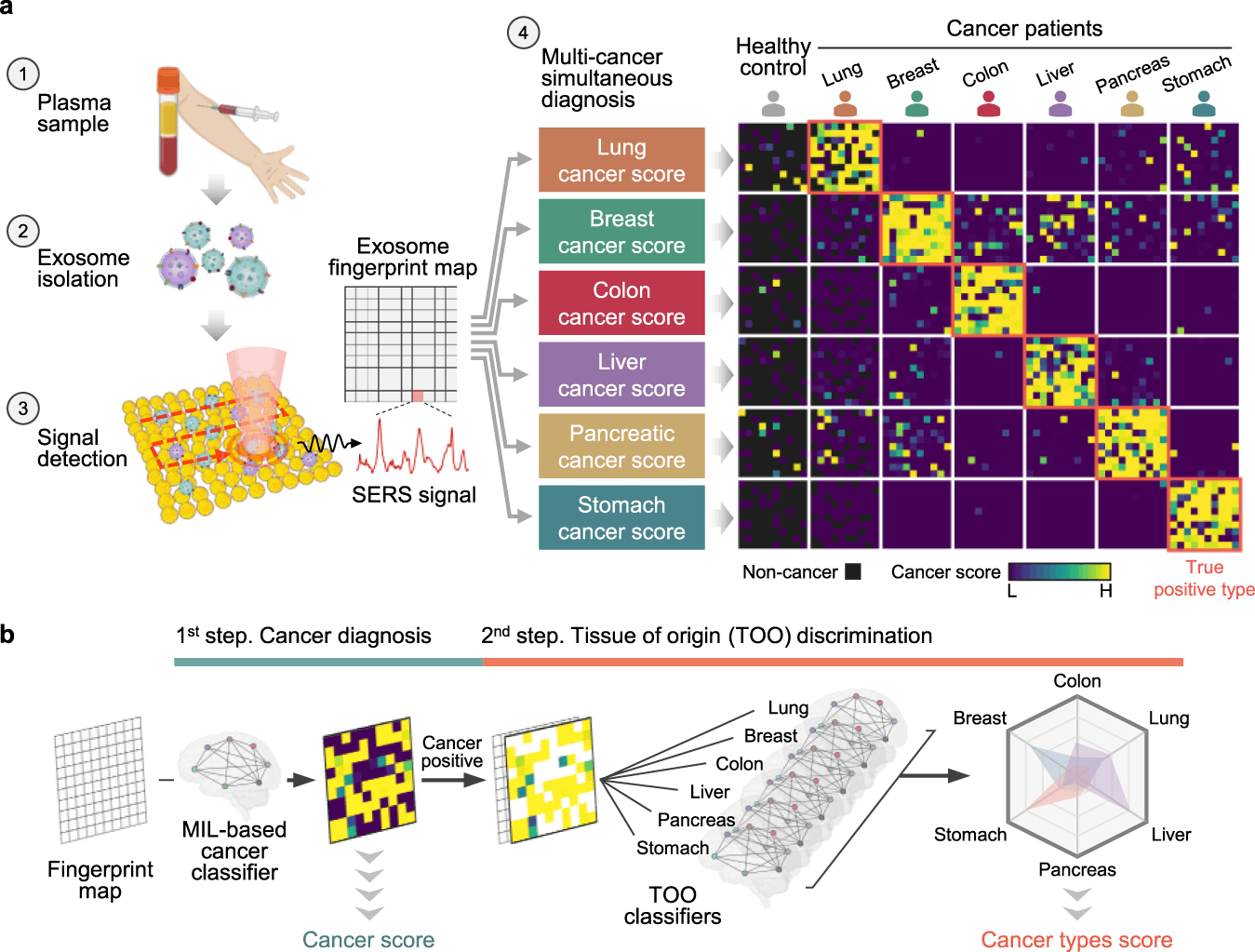 Researchers Offer an Innovative Single Test-Based Approach for Early Stage Cancer Diagnosis using Exosomes, SERS Technology and AI