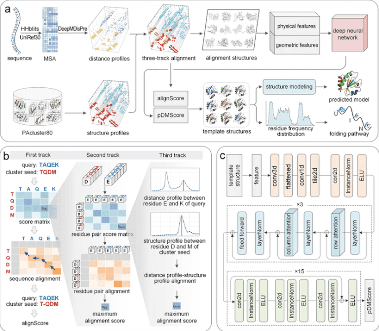 PAthreader: A Powerful Tool for Remote Homologs Recognition and Protein Folding Pathway Prediction
