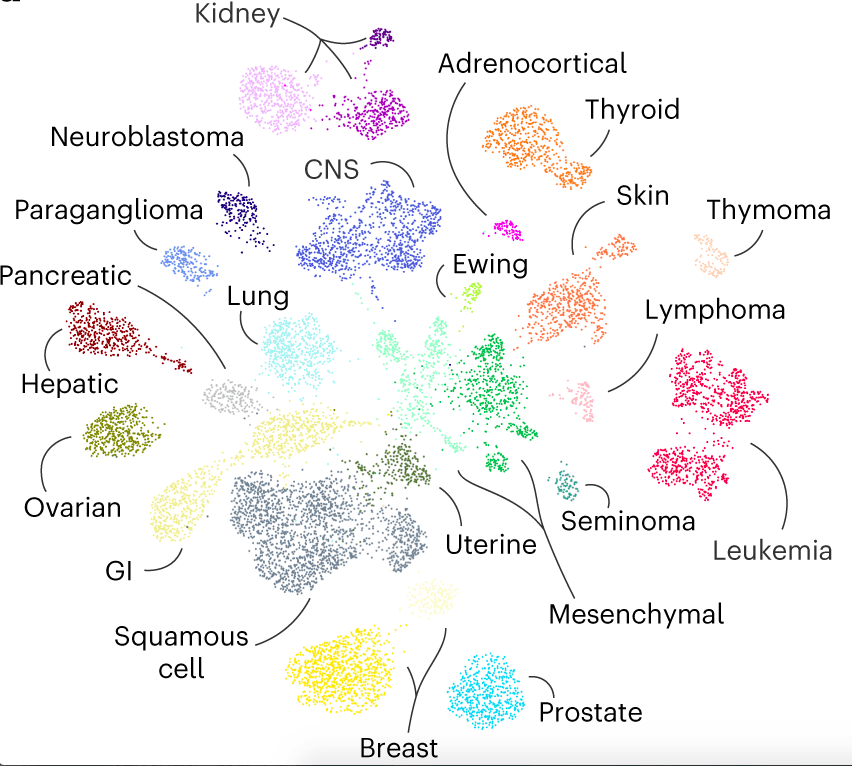 Machine Learning-aided Multiscale Transcriptomics Results in Pediatric Cancer Atlas for Diagnostic Classification