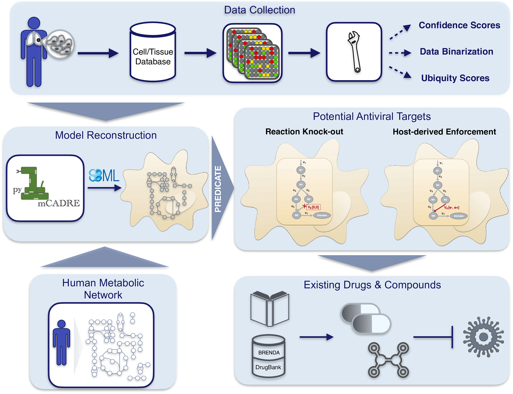 New workflow predicts drug targets against SARS-CoV-2 via metabolic changes in infected cell.