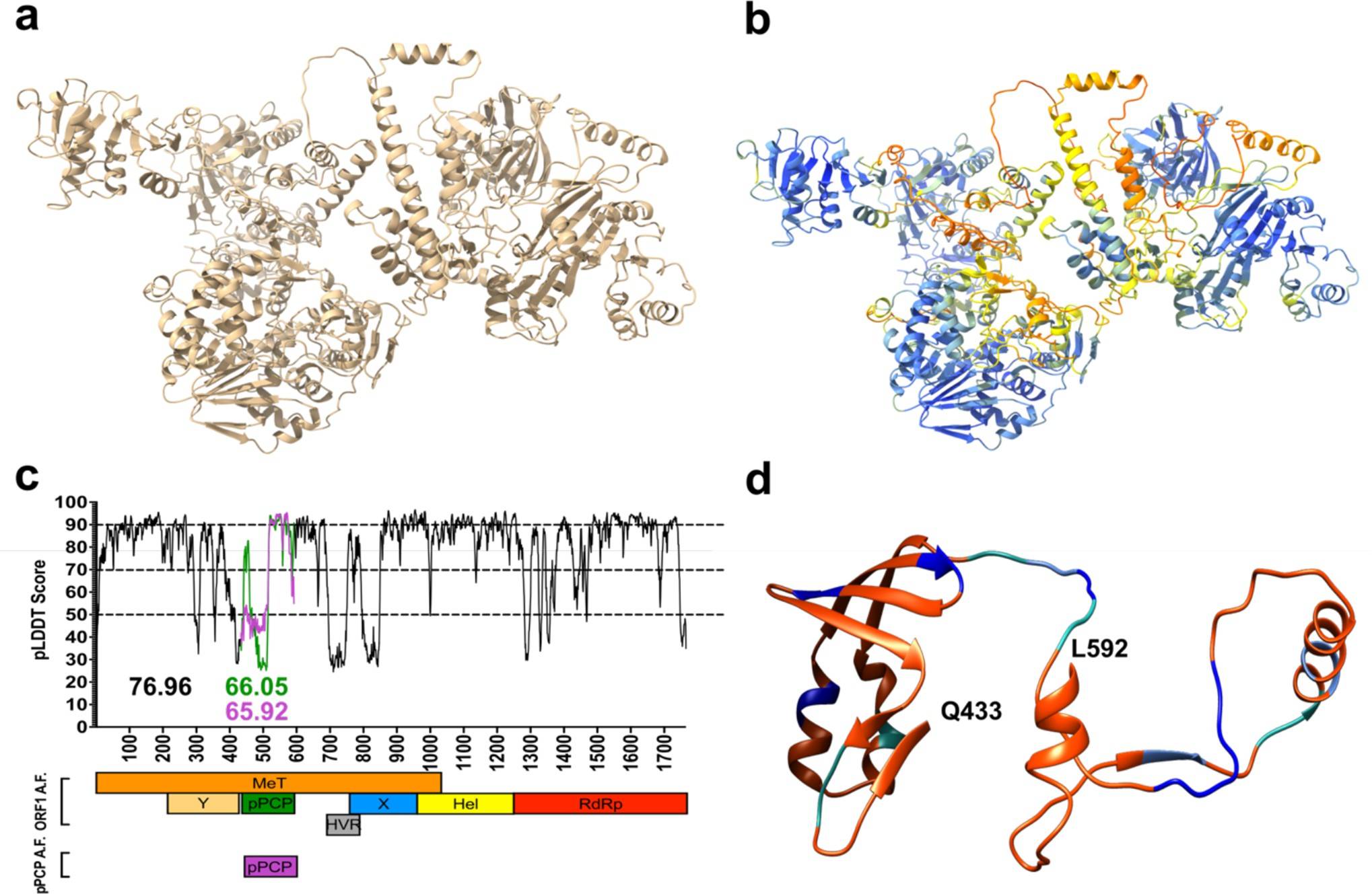 Insight into structural features of Hepatitis E: Structural prediction models of hepatitis E virus (HEV)