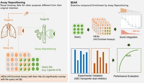Transforming Drug Discovery with BEAR: A New Virtual Screening Approach Utilizing Large-Scale Bioactivity Data