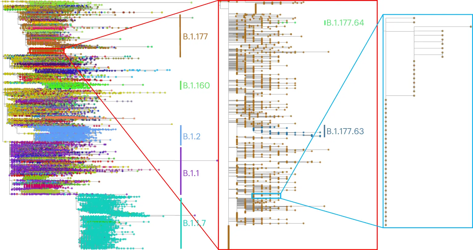 EMBL-EBI Researchers Develop a Phylogenetic Tool MAPLE to Uncover Insights from Pandemic-scale Genome Data