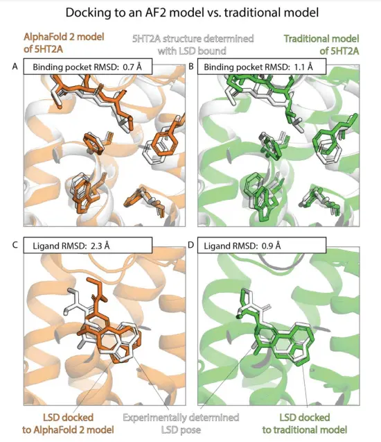 Accessing the accuracy of AlphaFold 2 Models: A Closer Look at Drug Binding Modes Prediction
