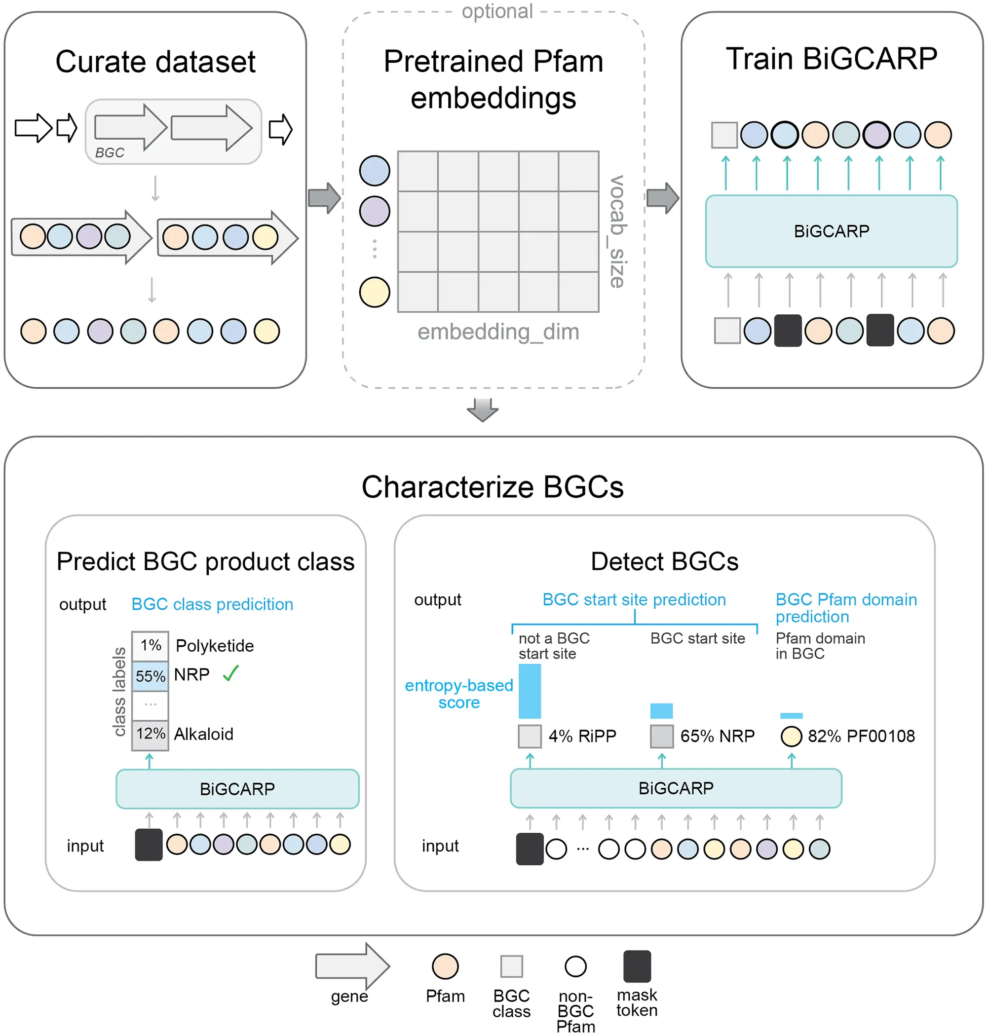Transforming Natural Product Identification Through Deep Self-Supervised Learning Language Models