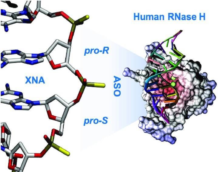 Simulation Tools Shape the Landscape of New Generation Gene Silencing Therapies