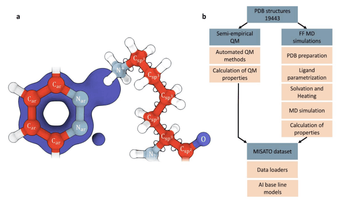 Empowering Scientists with MISATO: a Machine Learning Dataset for Structure-based Drug Discovery