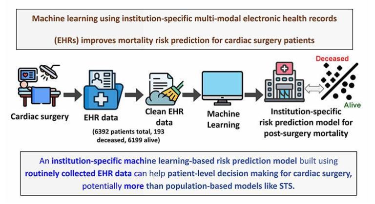 Enhancing Mortality Risk Prediction in Cardiac Surgery: The Impact of Machine Learning Models