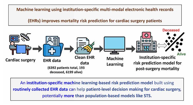 Enhancing Mortality Risk Prediction in Cardiac Surgery: The Impact of Machine Learning Models