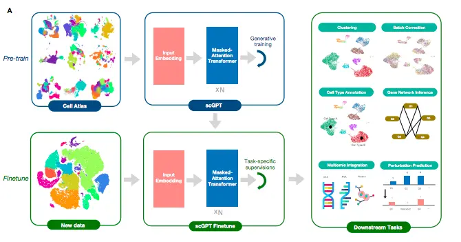 Meet scGPT: A Cutting-edge Foundation Model for Single-cell Multiomics using Generative AI