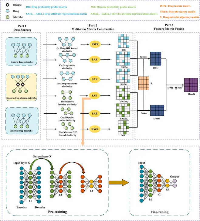 Meet MDASAE: A Novel Microbe-Drug Association Prediction Model